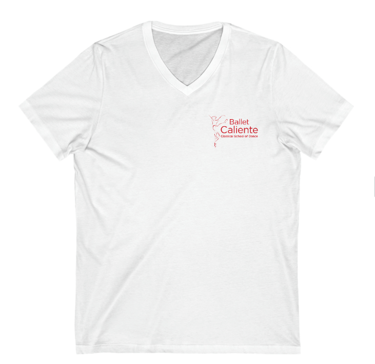 V-neck logo wear t-shirt. Available in black, white, red and grey.