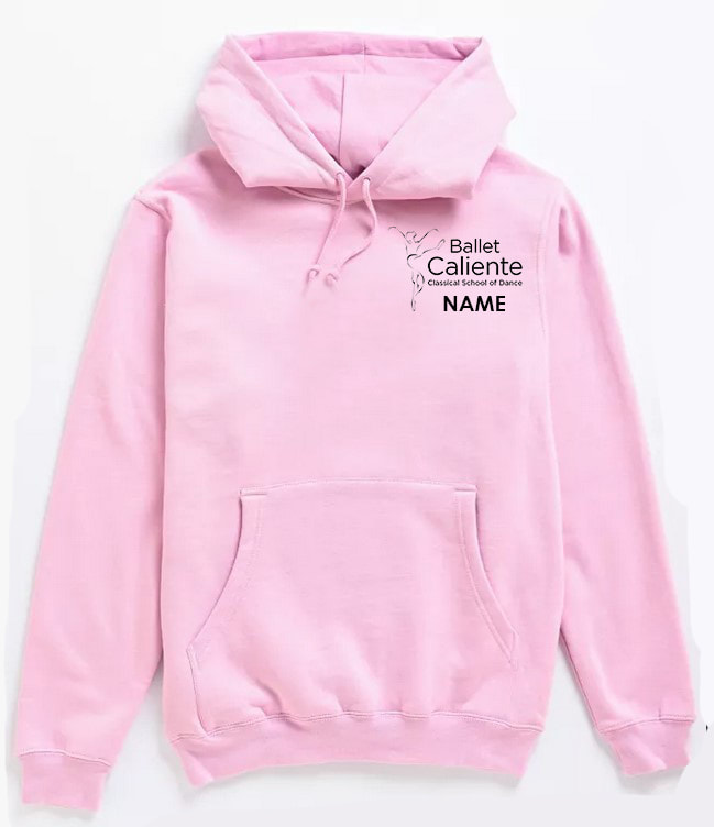 Youth Pink Hooded Sweatshirt